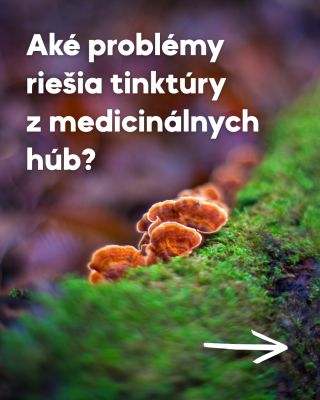 Aké problémy riešia tinktúry z medicinálnych húb? 🍄 Príroda má odpoveď takmer na všetko — a medicinálne huby sú dôkazom....
